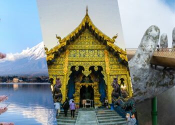 Secrets Of Mississippi's Longleaf Pine Savannas National Forest ...