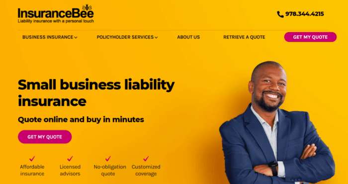 biBerk Insurance Review [2023] | Is It A Legit Buy Or Pass?